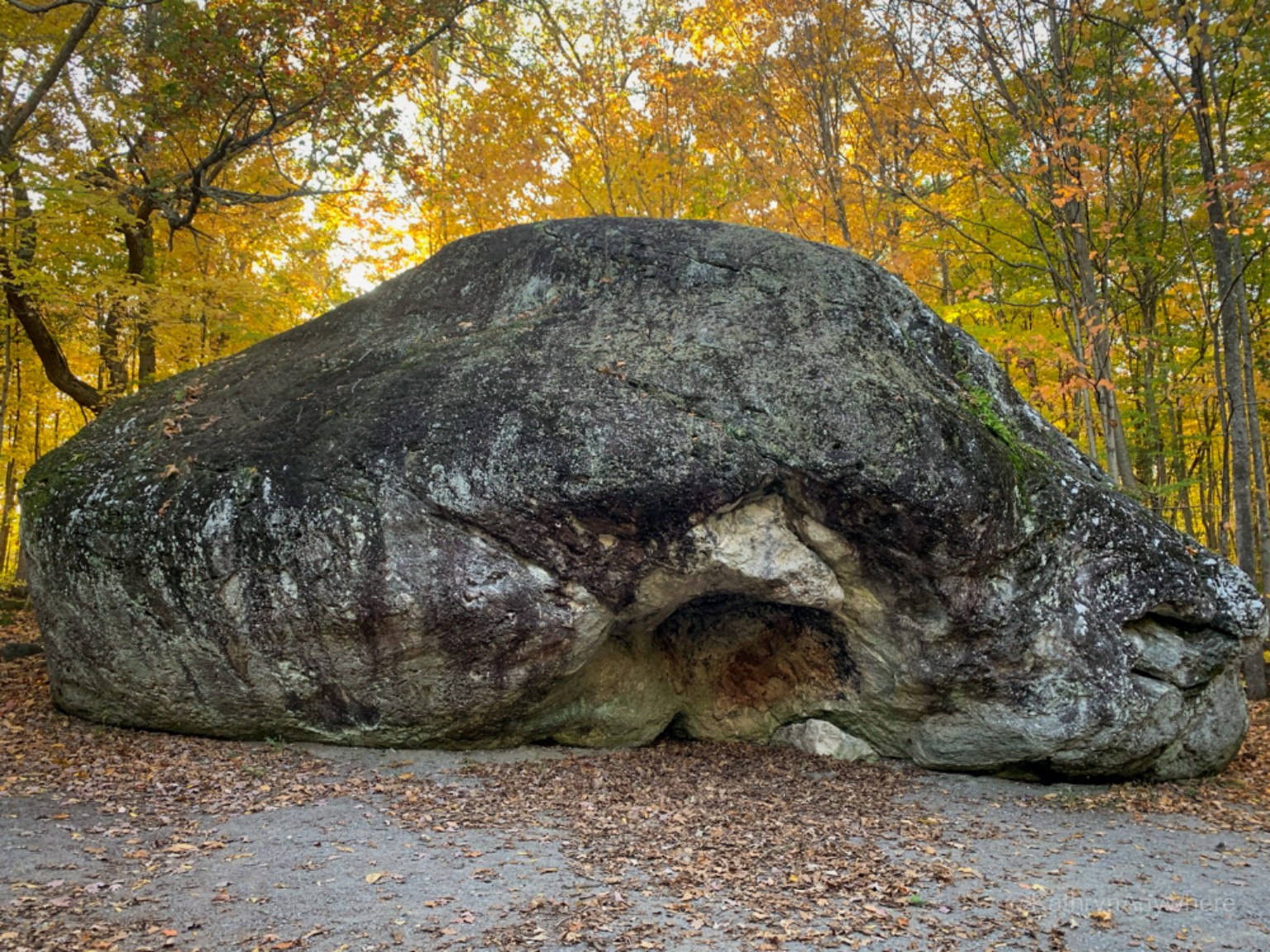 Bleasdell Boulder surrounded by autumn trees beside the woodland trail